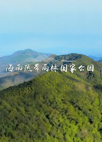 海南热带雨林国家公园