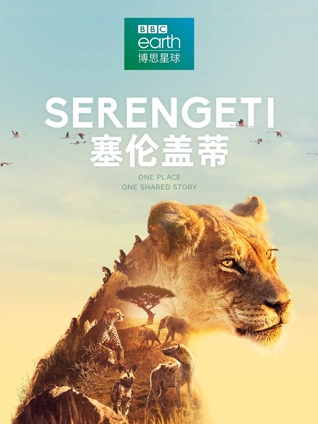 塞伦盖蒂 1