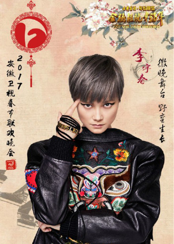 鸡年安徽卫视春晚